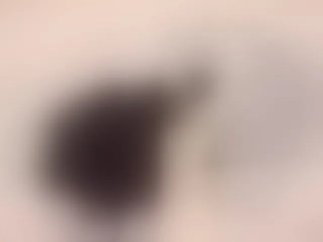 Live sex webcam photo for Taanni #293704178