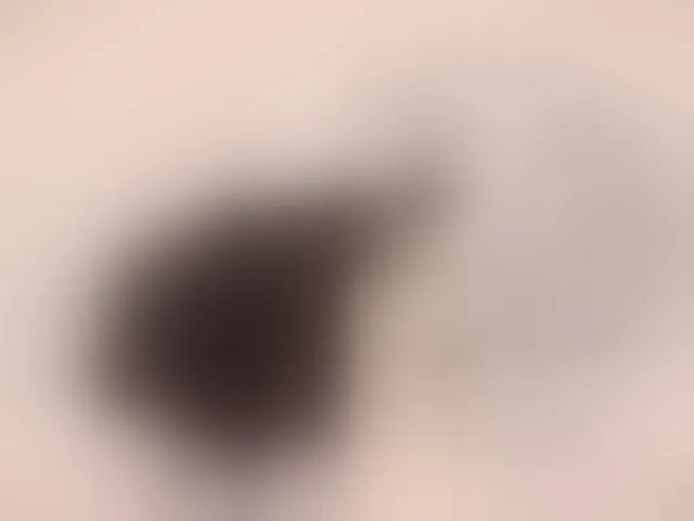 Live sex webcam photo for Taanni #293809889