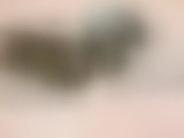 Live sex webcam photo for Taanni #294062538