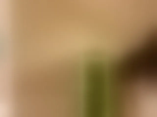 Live sex webcam photo for Taanni #294337205