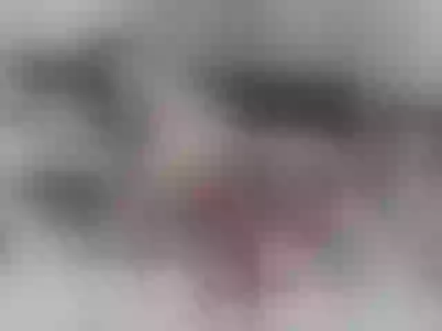 Live sex webcam photo for Taliax #291884096