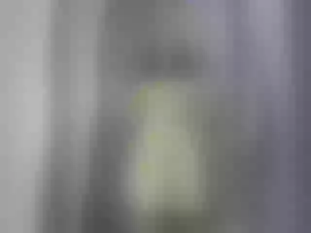 Live sex webcam photo for Talilia #291914271