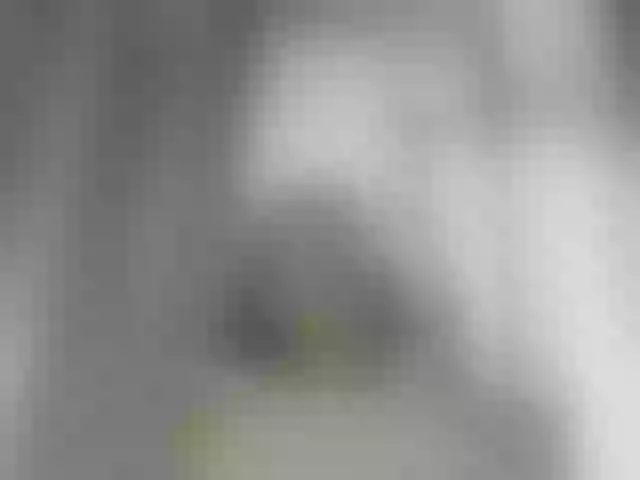 Live sex webcam photo for Talilia #292161221