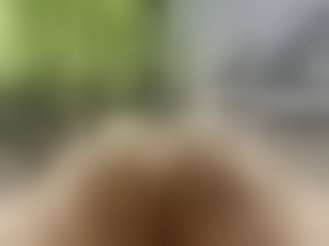 Live sex webcam photo for Talilia #294080581