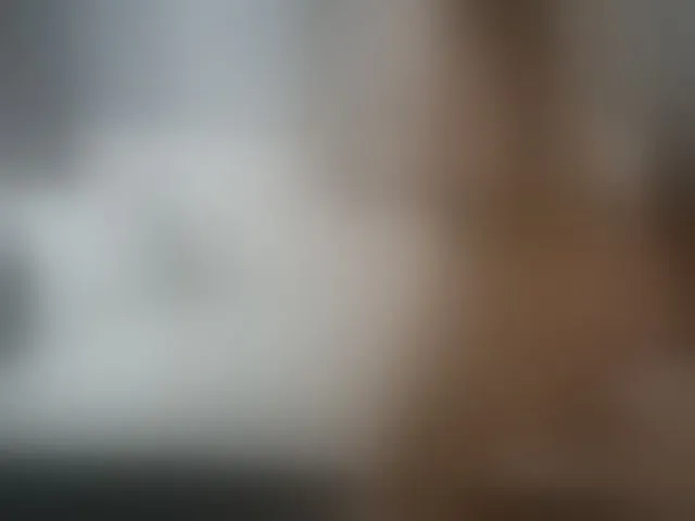 Live sex webcam photo for TammyLynn #294124137