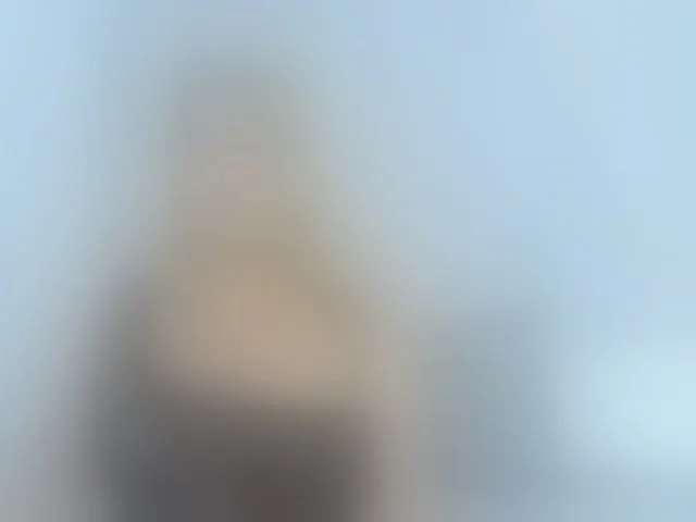 Live sex webcam photo for TaraCarson #294043708