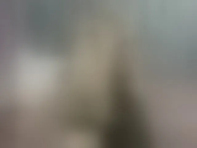 Live sex webcam photo for Tasty-booty #292576563