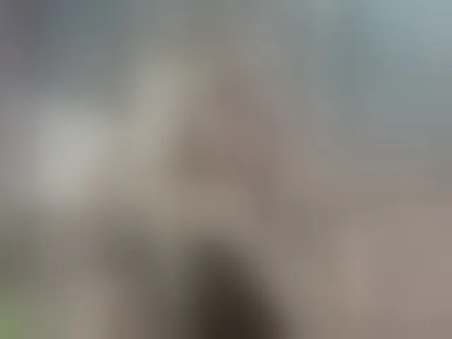 Live sex webcam photo for Tasty-booty #292684196