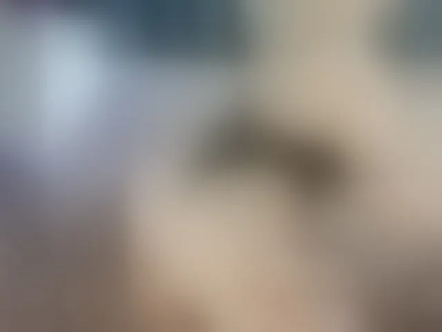 Live sex webcam photo for Tasty-booty #293051555