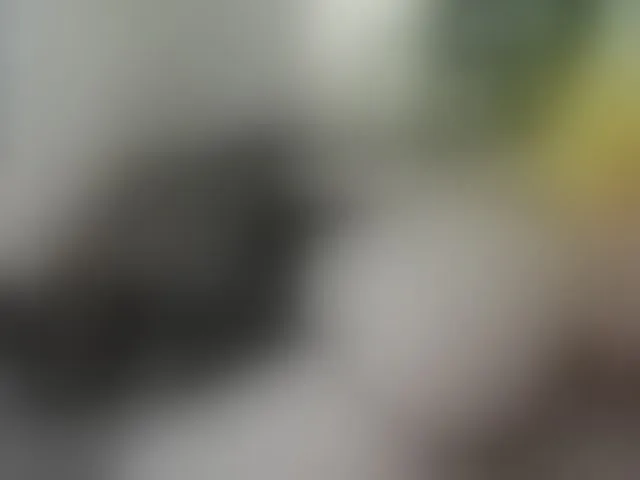 Live sex webcam photo for Tasty-booty #293894457