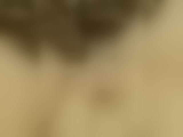 Live sex webcam photo for Tata-23 #294056519