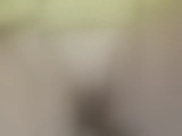 Live sex webcam photo for Tata42 #291779667