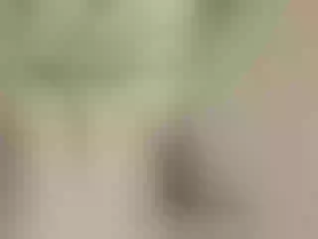 Live sex webcam photo for Tata42 #291987533