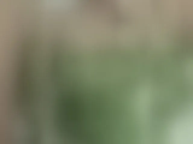 Live sex webcam photo for Tata42 #293332852