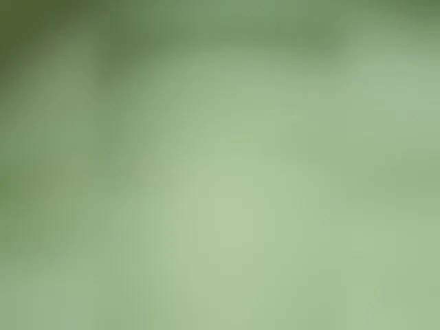 Live sex webcam photo for Tata42 #293693395
