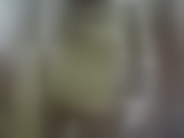 Live sex webcam photo for Tata42 #294219654
