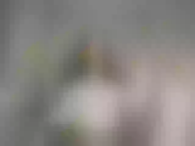 Live sex webcam photo for Tati16 #292294319