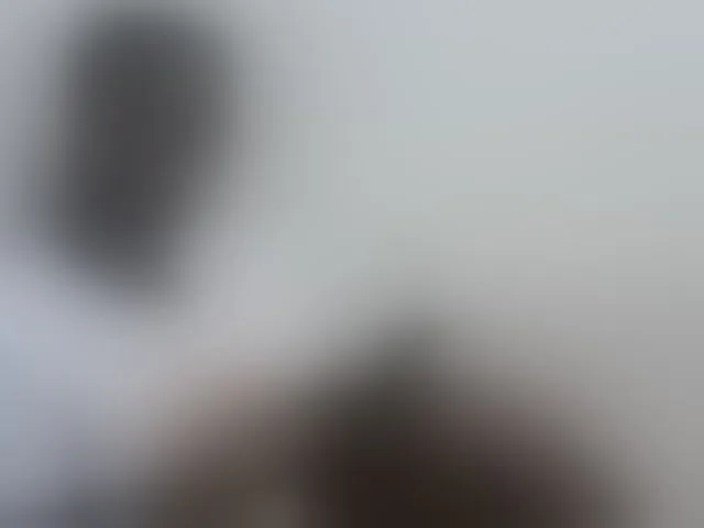 Live sex webcam photo for Tatswee #292620183