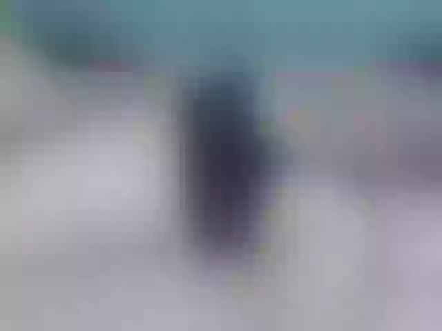 Live sex webcam photo for Taylor-Allana #272586953