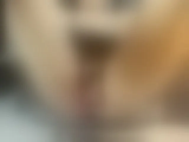 Live sex webcam photo for TaylorBlack #291385699
