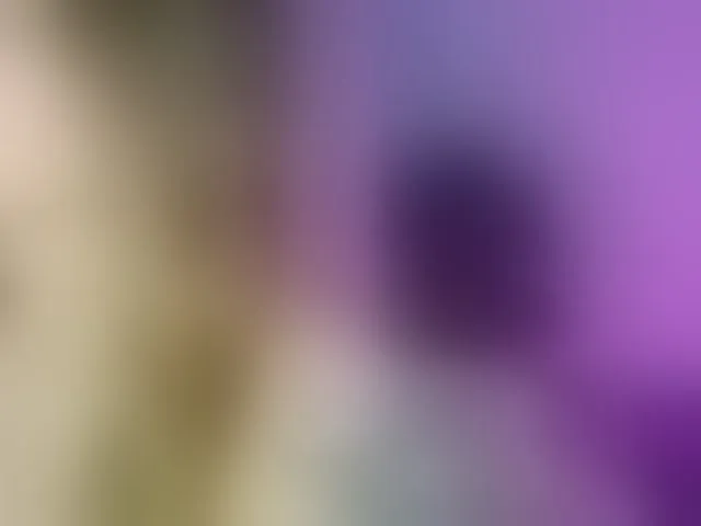 Live sex webcam photo for TaylorKnapp #293112650