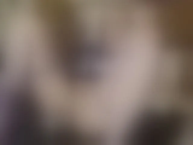 Live sex webcam photo for TaylorLove303 #292501349