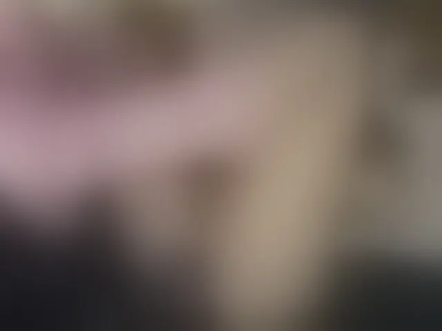 Live sex webcam photo for TaylorLove303 #293245747
