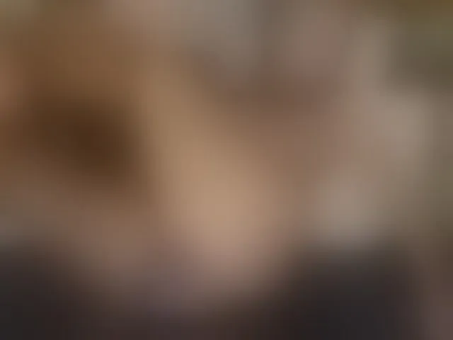 Live sex webcam photo for TaylorLove303 #293488455