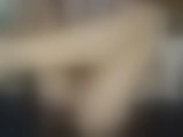 Live sex webcam photo for TaylorLove303 #293570104