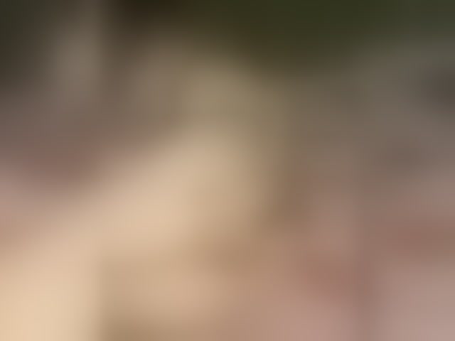 Live sex webcam photo for TeleVasilisk #294087781