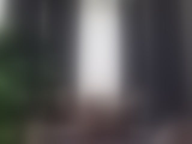 Live sex webcam photo for TerriRose #294341912