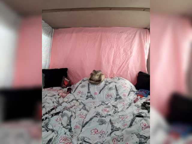 Live sex webcam photo for TheDime #287937365