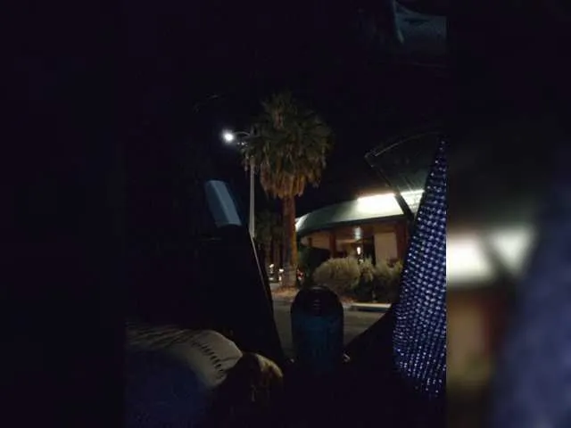 Live sex webcam photo for TheDime #287937670