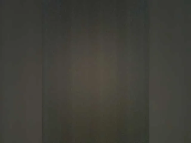 Live sex webcam photo for TheDime #287937723