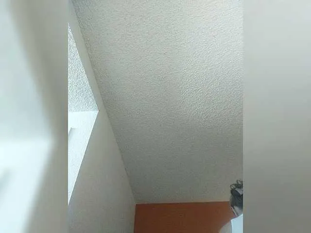 Live sex webcam photo for TheDime #287937740