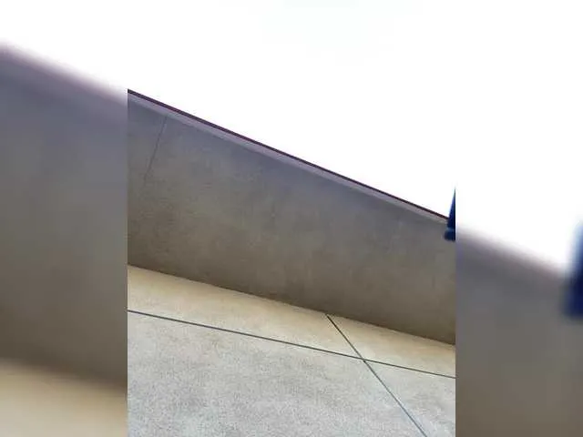 Live sex webcam photo for TheDime #291652615