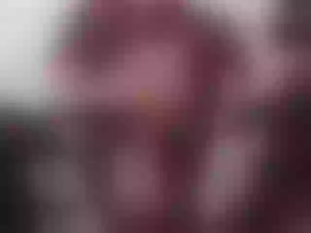 Live sex webcam photo for TheDrippyPrince #291108822