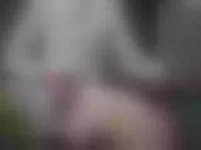 Live sex webcam photo for TheDrippyPrince #291691653