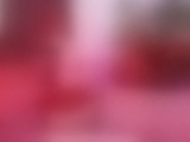 Live sex webcam photo for TheFallingAngel #294073920