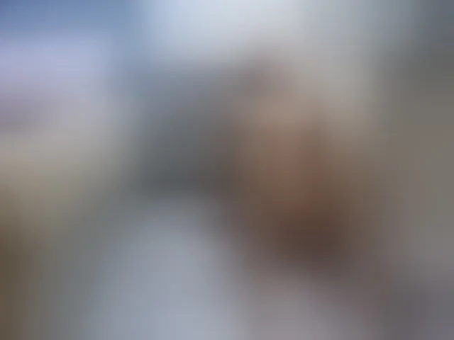 Live sex webcam photo for Theowonder #292515053