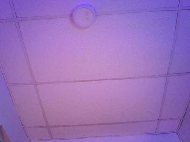 Live sex webcam photo for ThiaraDior #290233735