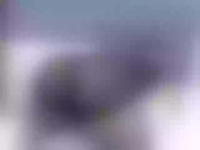 Live sex webcam photo for Thomass-Roy #276238079