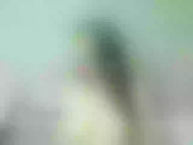 Live sex webcam photo for Tiara- #290287789