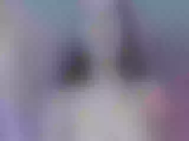 Live sex webcam photo for Tiara- #290474668