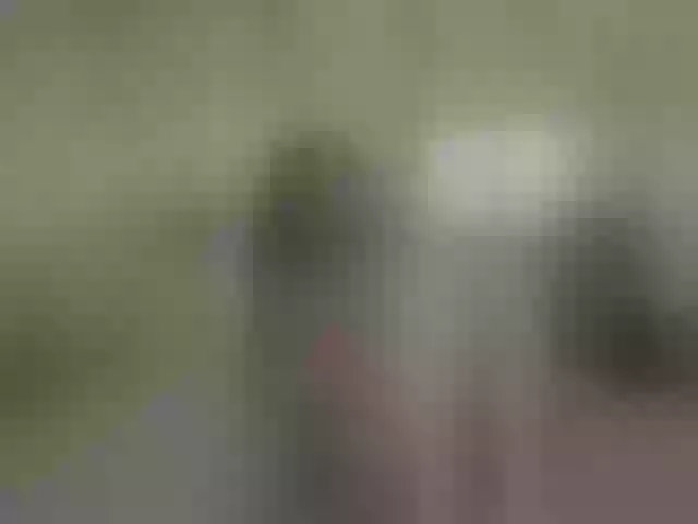 Live sex webcam photo for TiffanyHousto #290488165