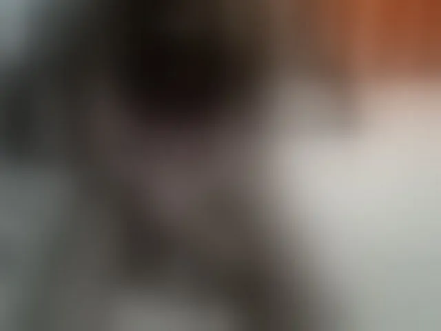 Live sex webcam photo for Tightpussy #292768895