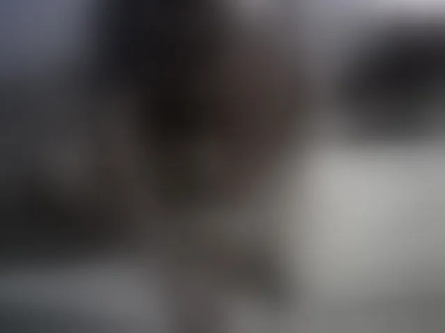 Live sex webcam photo for Tightpussy #293028179