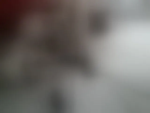 Live sex webcam photo for Tightpussy #293069284