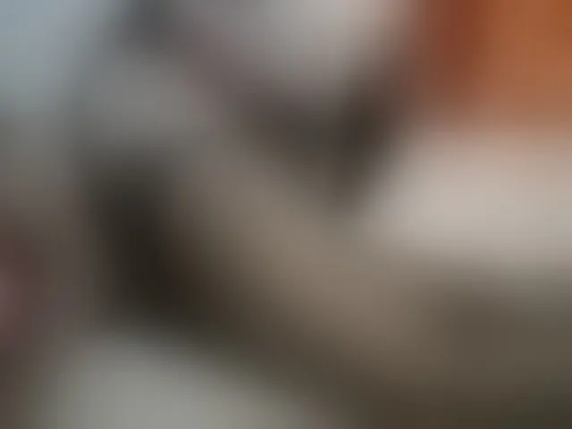 Live sex webcam photo for Tightpussy #293539290