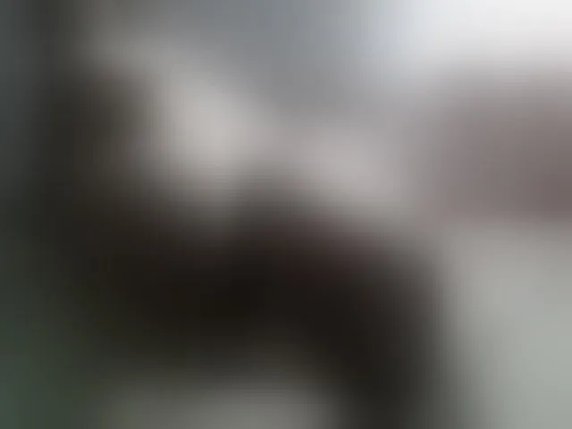 Live sex webcam photo for Tightpussy #293540982